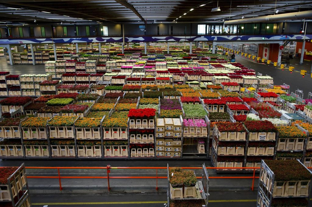 The Phantom Stock Problem: Why Counting Boxes Can Lead to Inventory Mistakes